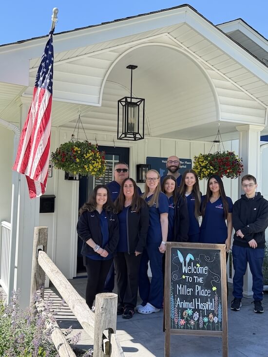 Top Rated Veterinarians Miller Place