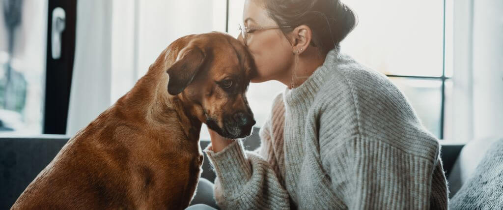 A pet owner kissing their dog with Cushing's Disease on the head.