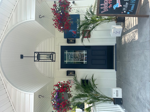 Welcome to Miller Place Animal Hospital
